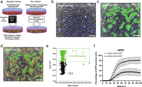 A Typically The Transduction Efficiency Could Be Determined By Adding