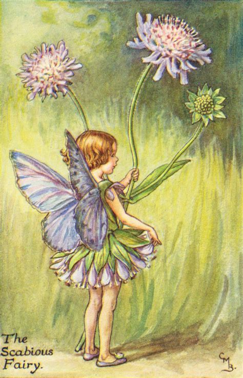 The Book Of The Flower Fairies By Barker Cicely M Jonkers Rare Books Fairy Art Vintage