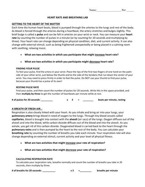 Heart Rate And Breathing Lab