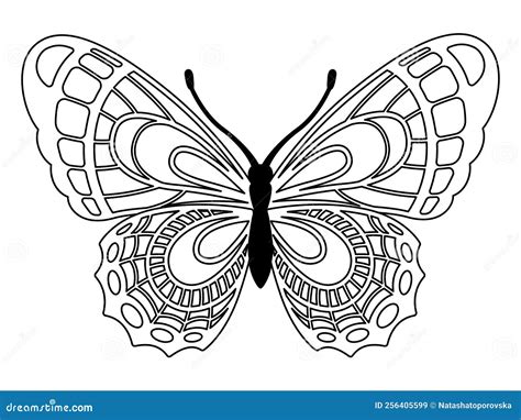 Vector Coloring Book Page Silhouette Of Elegant Butterfly In Mandala