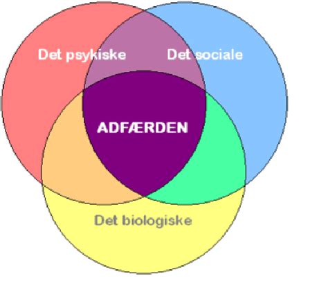 Figur 1 Den Bio Psyko Sociale Model Download Scientific Diagram