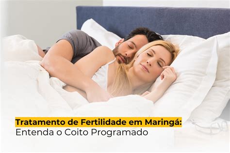 Tratamento De Infertilidade Em Maring Entenda O Coito Programado