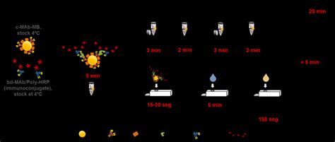 Different Formats Of The Single Step Magneto Immunoassay A