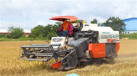 មសនចរតសរវ Rice harvester Kubota DC 70 Plus Agriculture