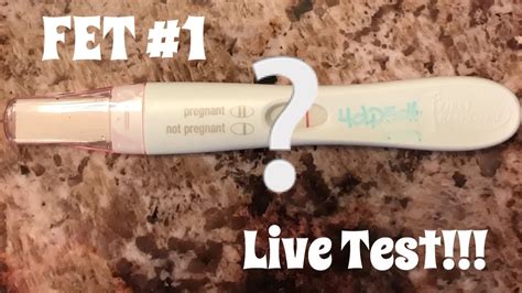 Live Pregnancy Test 4dp5dt Fet Youtube