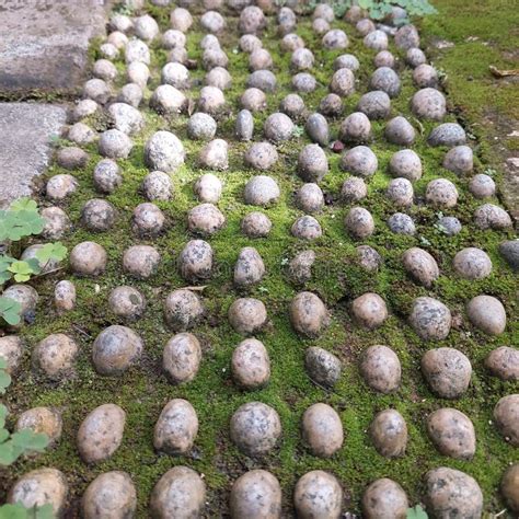 Stone Reflexology Path For Abandoned Foot Massage Stock Image Image