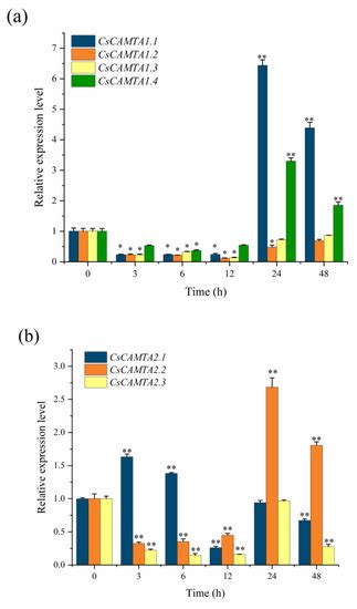 Agronomy Special Issue Breeding Genetics And Genomic Of The Genus