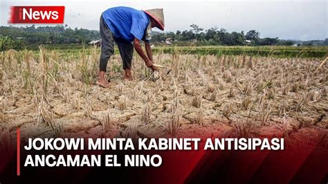 Antisipasi Ancaman El Nino BMKG Masyarakat Harus Beradaptasi Dengan