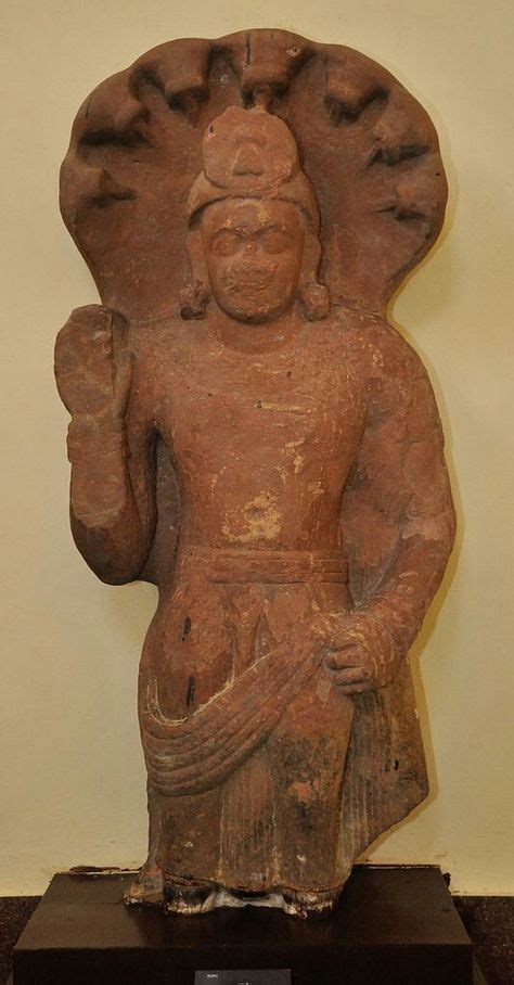 Naga Deity Kushan Period ACCN 30 2074 Government Museum Mathura