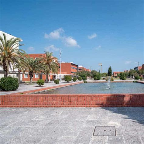 Study at University of Aveiro - English Taught Degree Programs