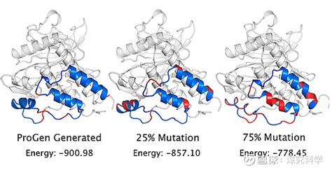 生物界的chatgpt，首次成功从零生成原始蛋白质 导读去年，deepmind开发的alphafold系统几乎预测了所有的蛋白质结构，如今