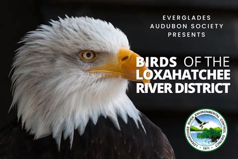 Birding At The Loxahatchee River District River Center