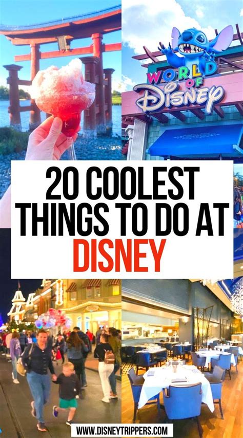 Coolest Things To Do In Disney World Artofit