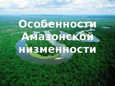 Особенности Амазонской низменности - презентация, доклад, проект скачать