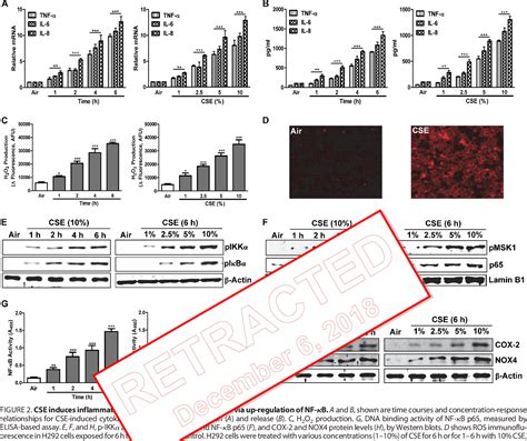 Figure 2 From Down Regulated Peroxisome Proliferator Activated Receptor