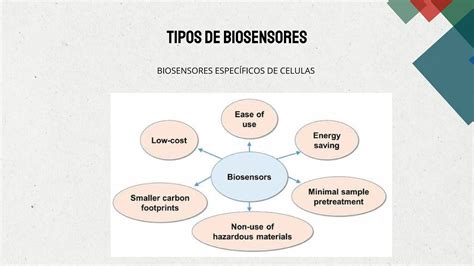 Una Revisi N De Los Biosensores Para El Monitoreo Ambiental Pdf