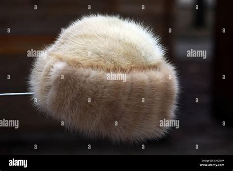 Color Picture Of A White Fur Hat Stock Photo Alamy