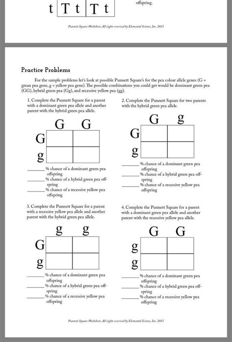 Mendelian Genetics Answer Sheet