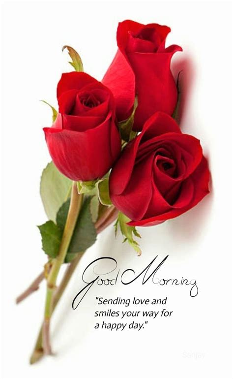 Pin By Sanju On Sanjay Good Morning Flowers Rose Good Morning Beautiful Flowers Good Morning