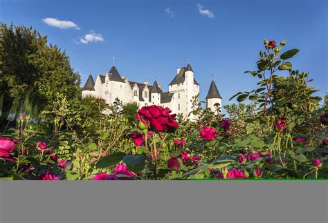 F Te Des Roses Au Ch Teau Du Rivau Soci T Nationale D Horticulture