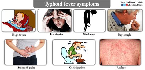 Amudu Typhoid Fever