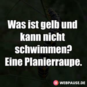 Extrem Lustige Flachwitze F R Jeden Humor Webpause De