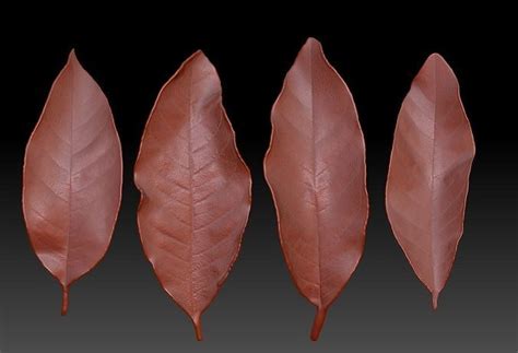 3d Printed Leaves Stl 3d Model 3d Printable Cgtrader