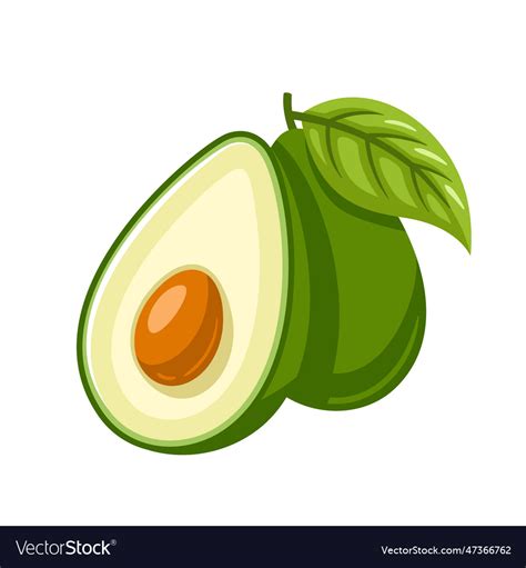 Green Avocado Icon Isolated On White Background Vector Image