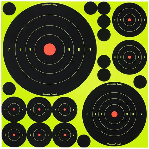 50 Pk Birchwood Casey® Shoot N C® Self Adhesive Target Variety