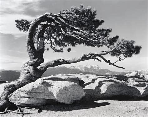 Ansel Adams Most Famous Photographs