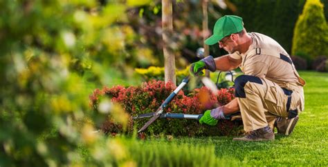 Landscaping Industry Statistics For Business Growth In