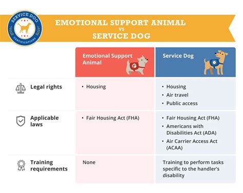 Ada Service Dog Laws 2024 - Erin Odessa