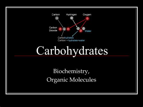 Carbohydrates Biochemistry Organic Molecules