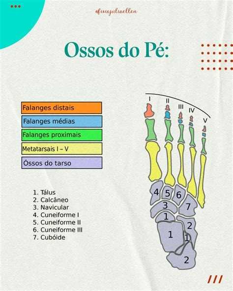 The Diagram Shows How Many Different Types Of Bones Are Arranged In