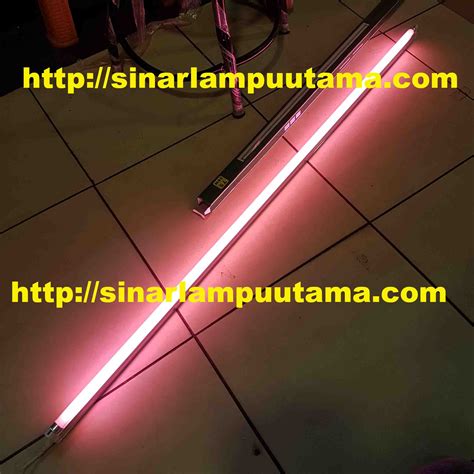 Lampu Tl T Watt Merah Sinar Lampu Utama