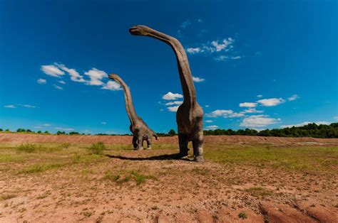 Fun Brachiosaurus Facts for Kids – Fun Facts 4 Kids