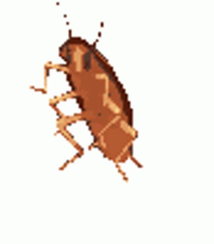 Cockroach Dancing Sticker - Cockroach Dancing Spin - Descubre y ...