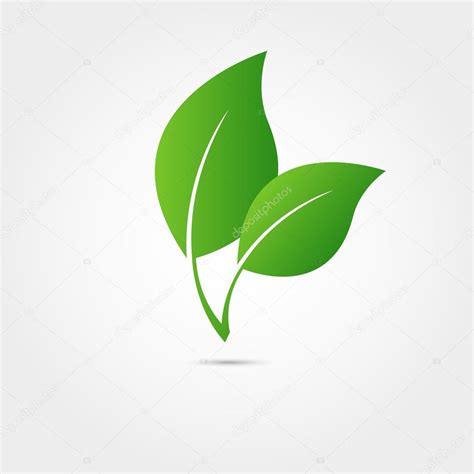 Eco Icon With Green Leaf Stock Vector Image By ©ansim 74423783