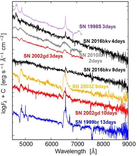 Spectra Of Sn 2016bkv In The Early Phase In Comparison With Ll Sne Iip