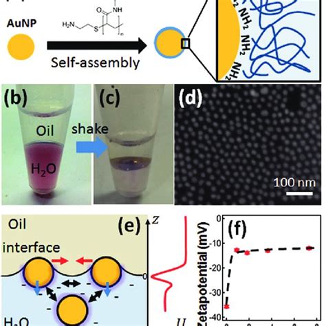 Formation Of Aunp Monolayer At The Liquid Liquid Interface Lli A Download Scientific