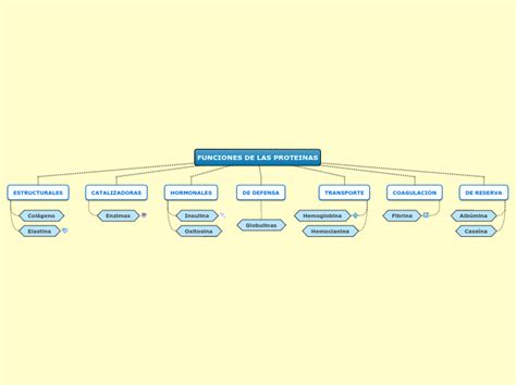 Química Sexto Funciones biológicas de las proteínas