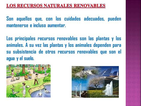 Ejemplos Cuadro Comparativo De Recursos Naturales Renovables Y No