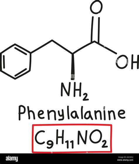 Which Formula Represents An Amino Acid