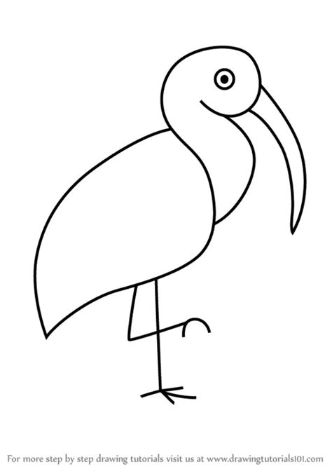 How to Draw a Ibis Bird for Kids (Animals for Kids) Step by Step ...