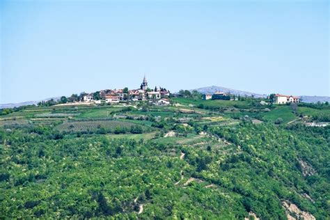 Truffle Hunting in Motovun Forest, Motovun | kimkim