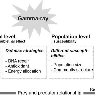 Gamma radiation effects on different organization levels in aquatic... | Download Scientific Diagram