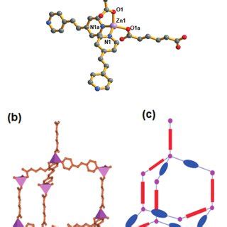 A View Of The Coordination Environment Around The Zn Ii Atom Of