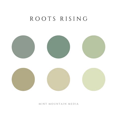 Roots Rising Color Palette Mint Mountain Media