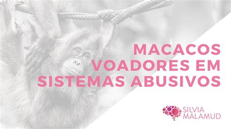 Live Macacos Voadores Em Sistemas Abusivos Youtube