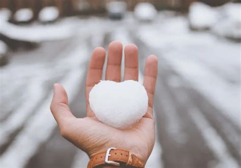 今迎大雪別犯禁忌！命理師「超強開運法」一次看 4生肖小心健康 生活 Nownews今日新聞